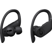 Koop Beats Powerbeats Pro Zwart