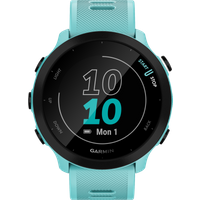 Koop Garmin Forerunner 55 Blauw